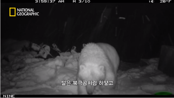 24post.co.kr_078.png