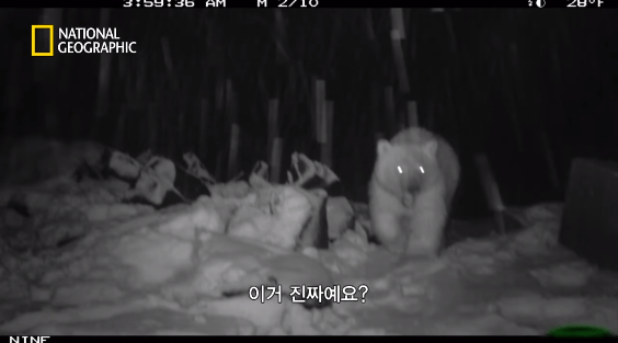 24post.co.kr_095.png
