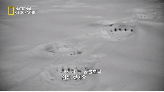 24post.co.kr_069.png