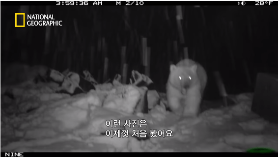24post.co.kr_097.png