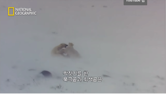 24post.co.kr_019.png