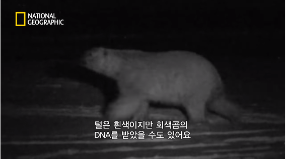 24post.co.kr_050.png
