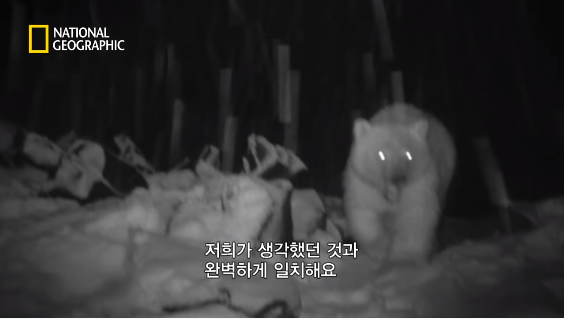 24post.co.kr_090.png