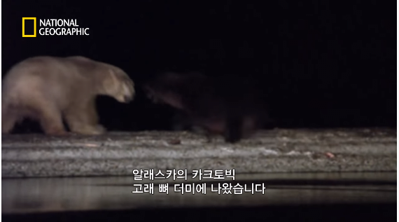 24post.co.kr_047.png