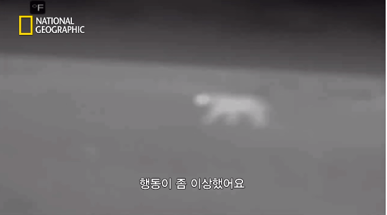 24post.co.kr_052.png