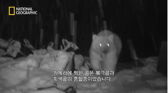 24post.co.kr_077.png