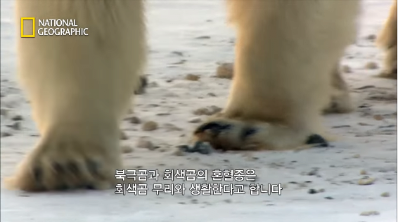24post.co.kr_063.png