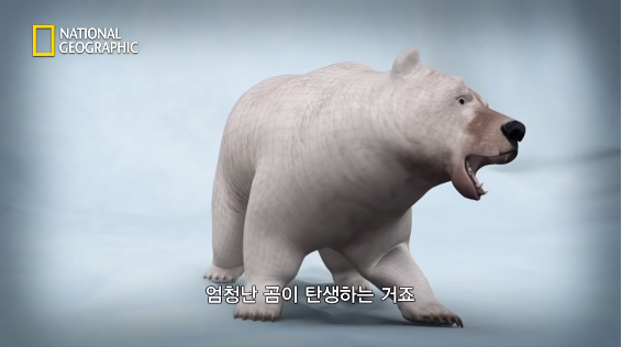 24post.co.kr_005.png