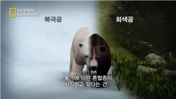 24post.co.kr_099.png