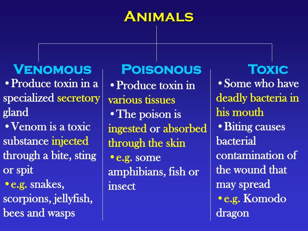 slide3-l.jpg 쉽게 보는 독의 세가지 종류와 차이