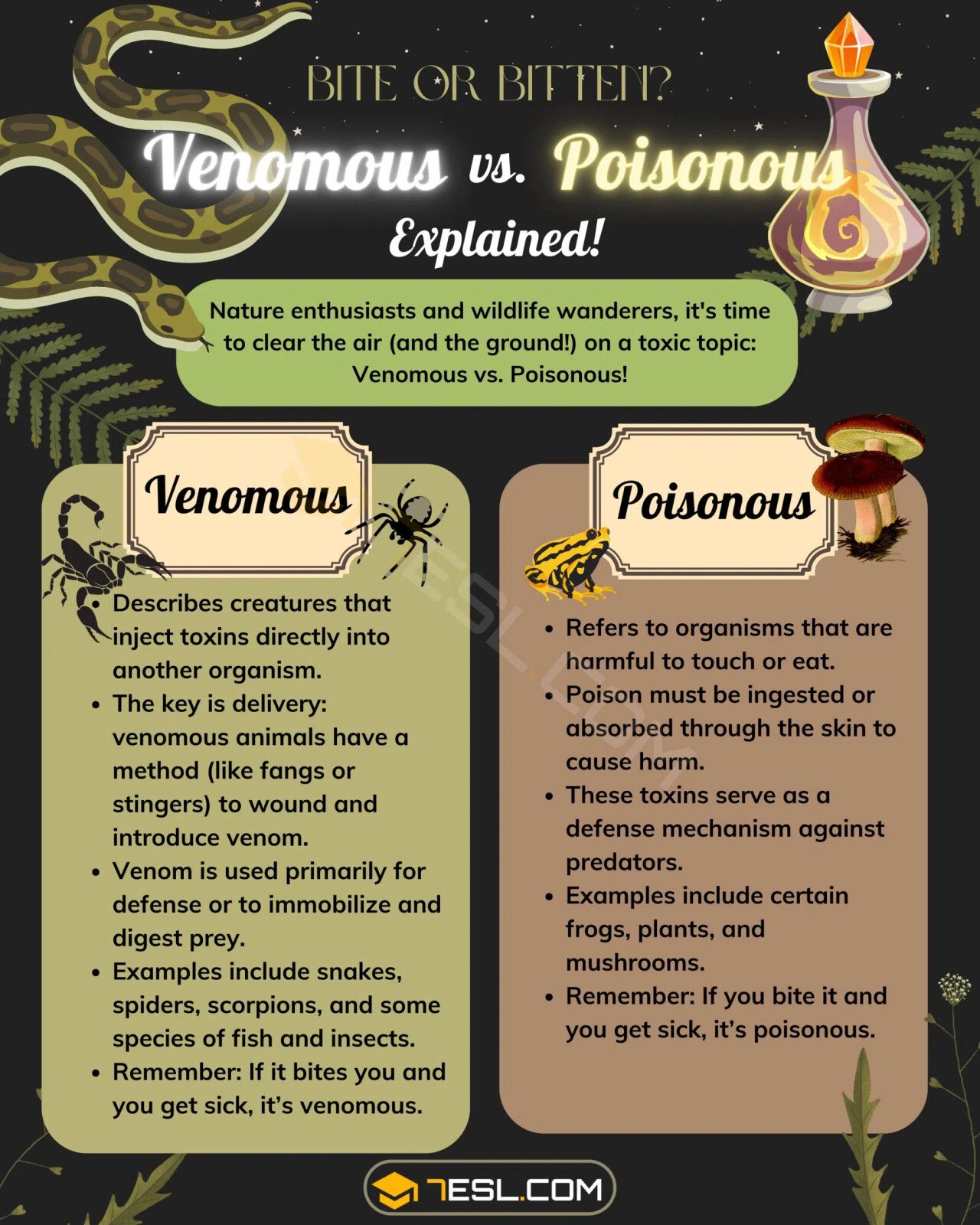 Venomous_vs._Poisonous-scaled.jpg.webp.ren.jpg 쉽게 보는 독의 세가지 종류와 차이