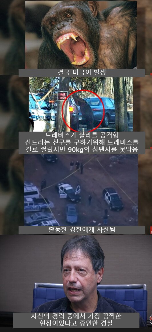 b2.jpg