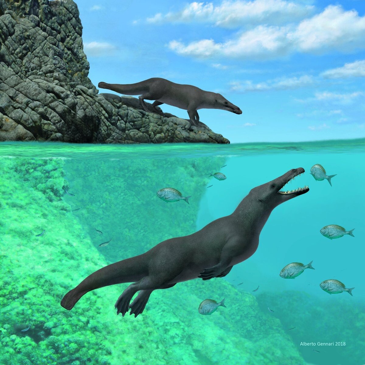 2019-04-04T183614Z_1_LYNXNPEF331SM_RTROPTP_4_SCIENCE-WHALE.jpeg