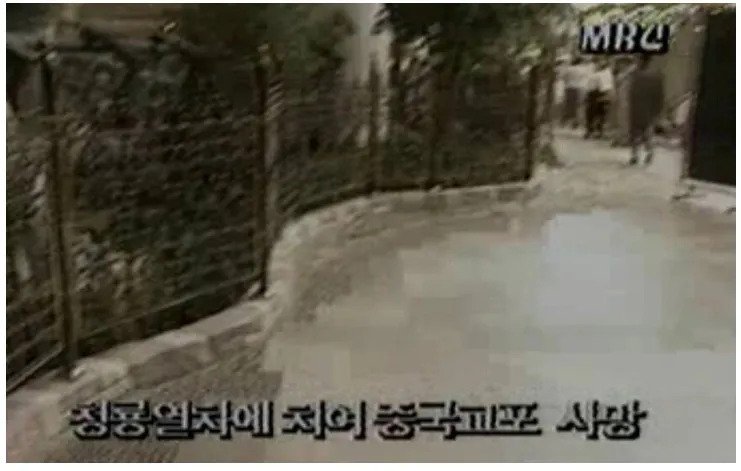 thumb_crop_resize.webp.ren (4).jpg