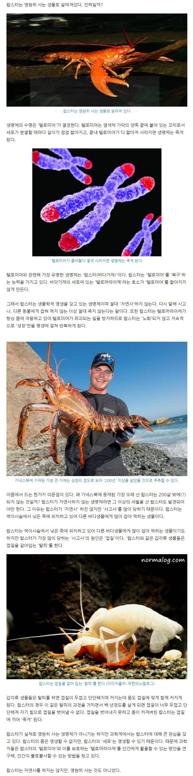 생물.jpeg
