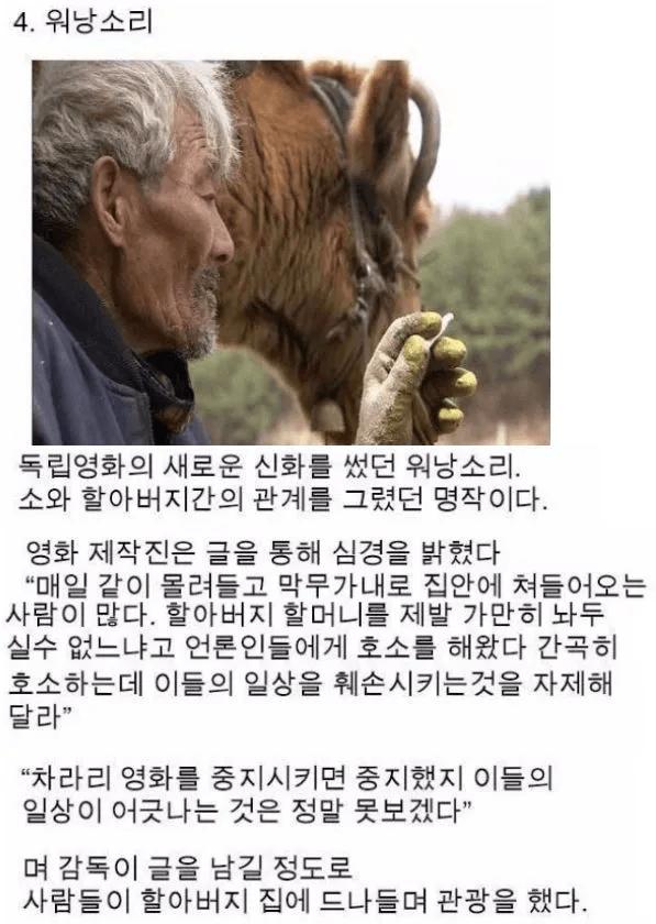 워낭소리.png.jpg