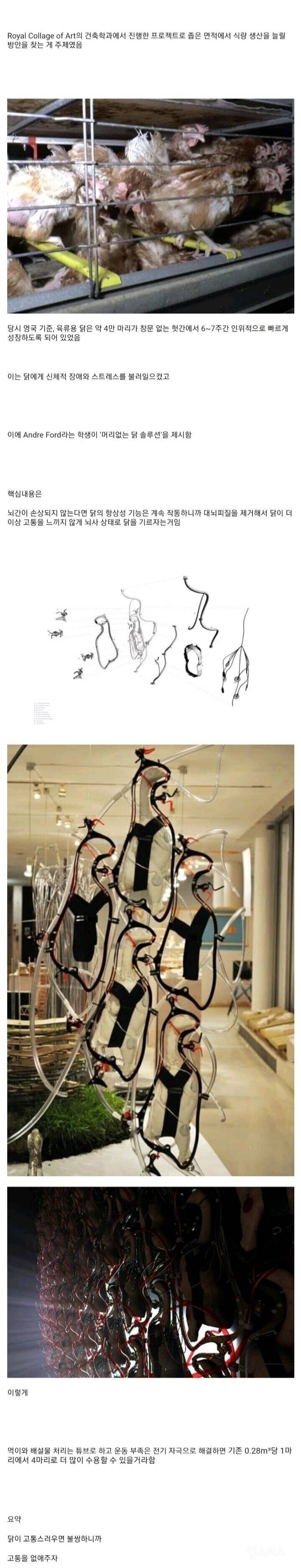 1.jpeg