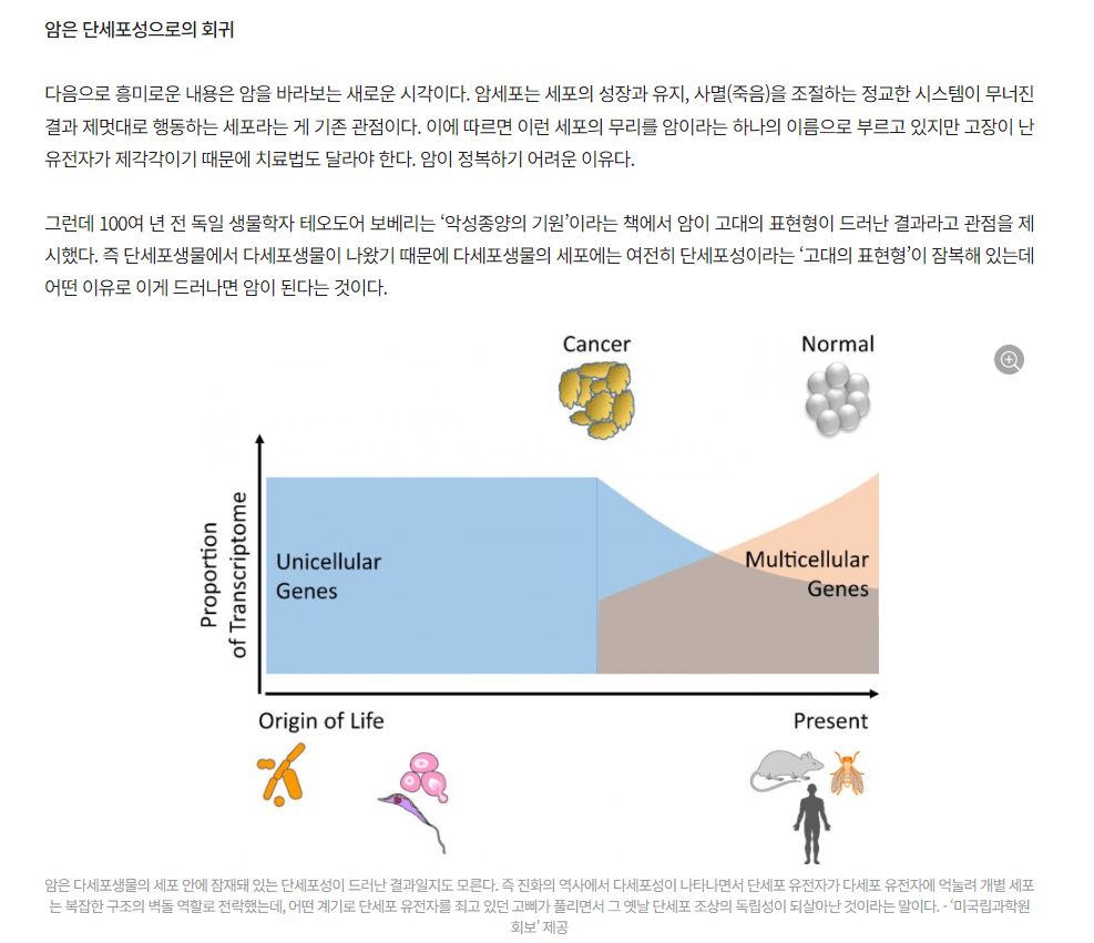 1.png 암세포를 바라보는 매우 신박한 관점