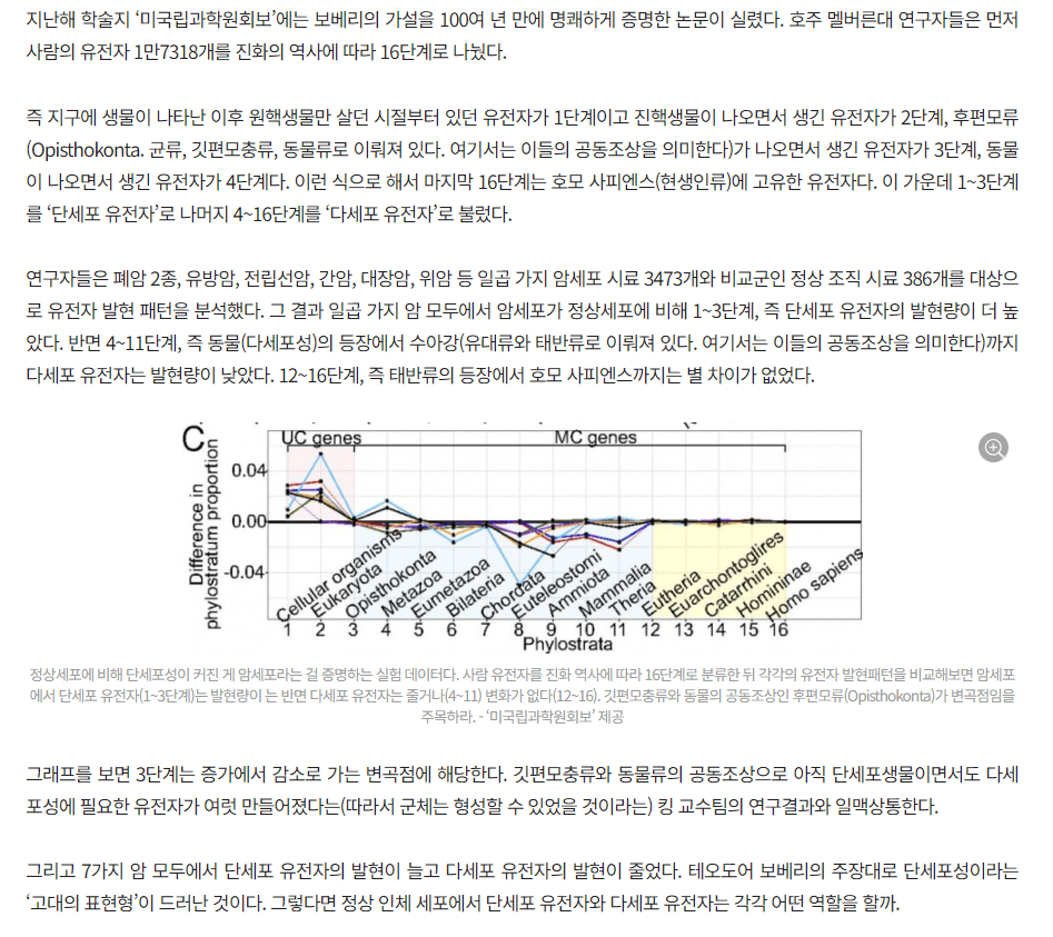 2.png 암세포를 바라보는 매우 신박한 관점