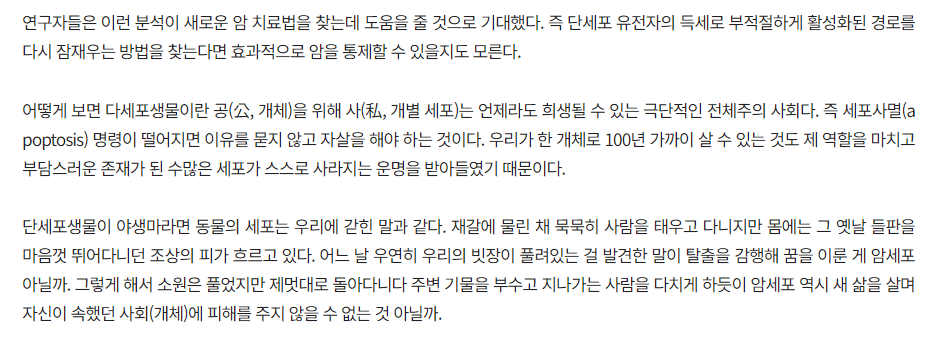 3.png 암세포를 바라보는 매우 신박한 관점