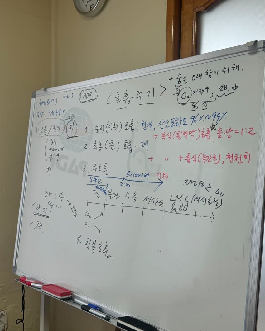 1728715730.jpg