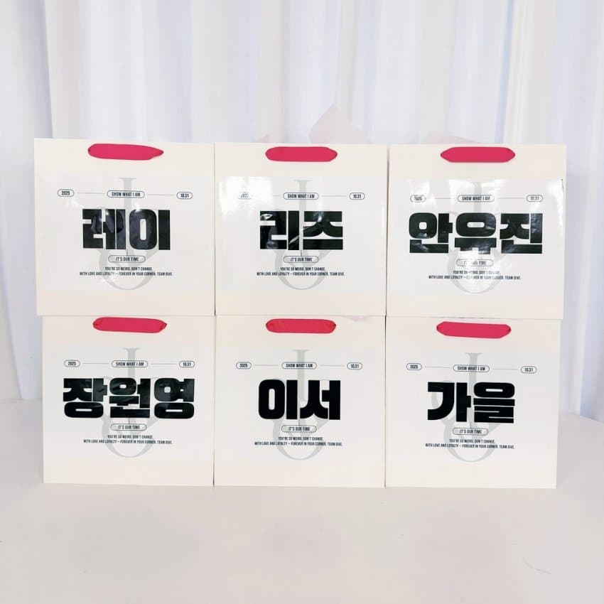 251031 아이브 팬 연합 체조콘 서포트 (7)