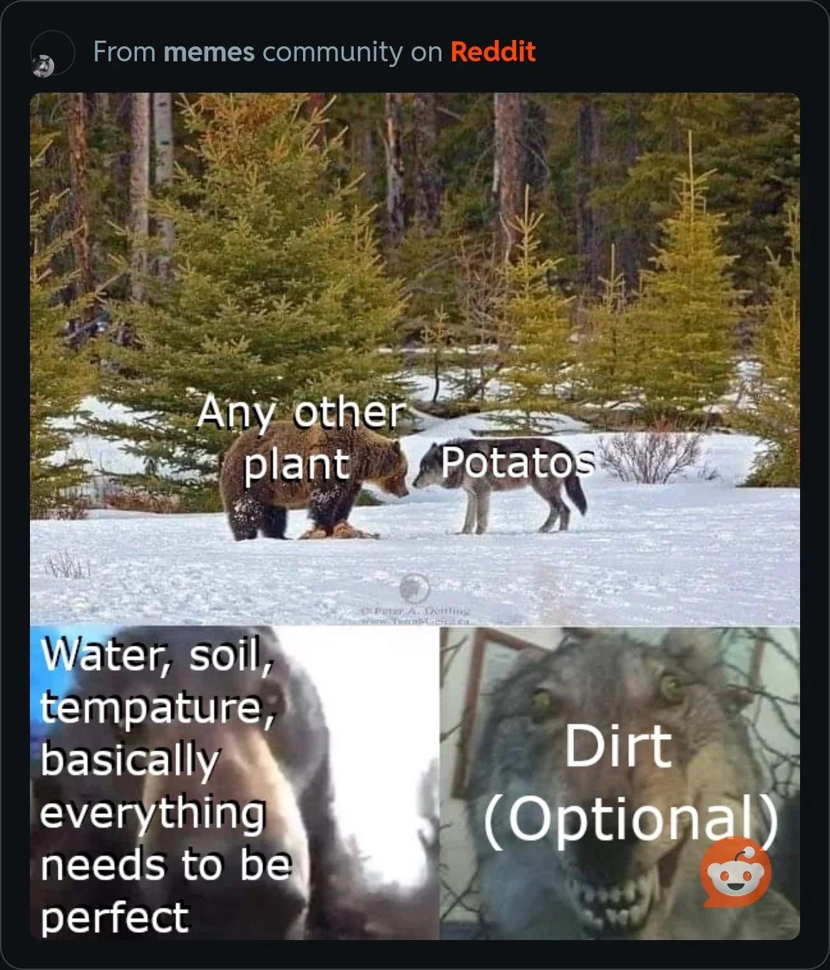 2.webp.jpg