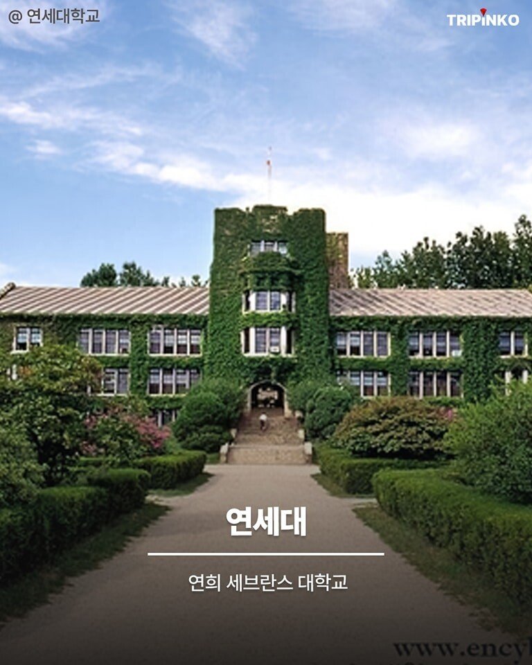 P_007.jpg