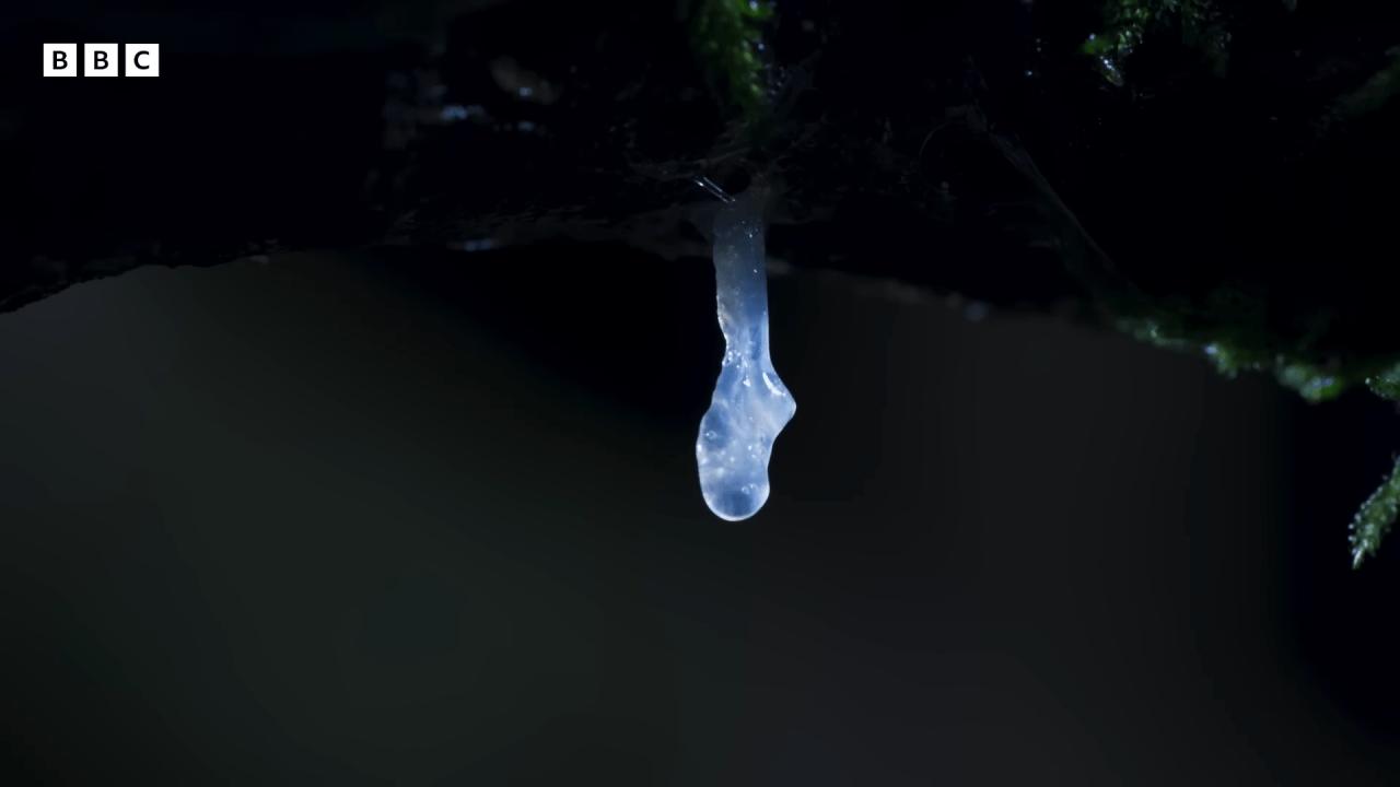 99b983892094b5c6d2fc3736e15da7d1_2.png.jpg