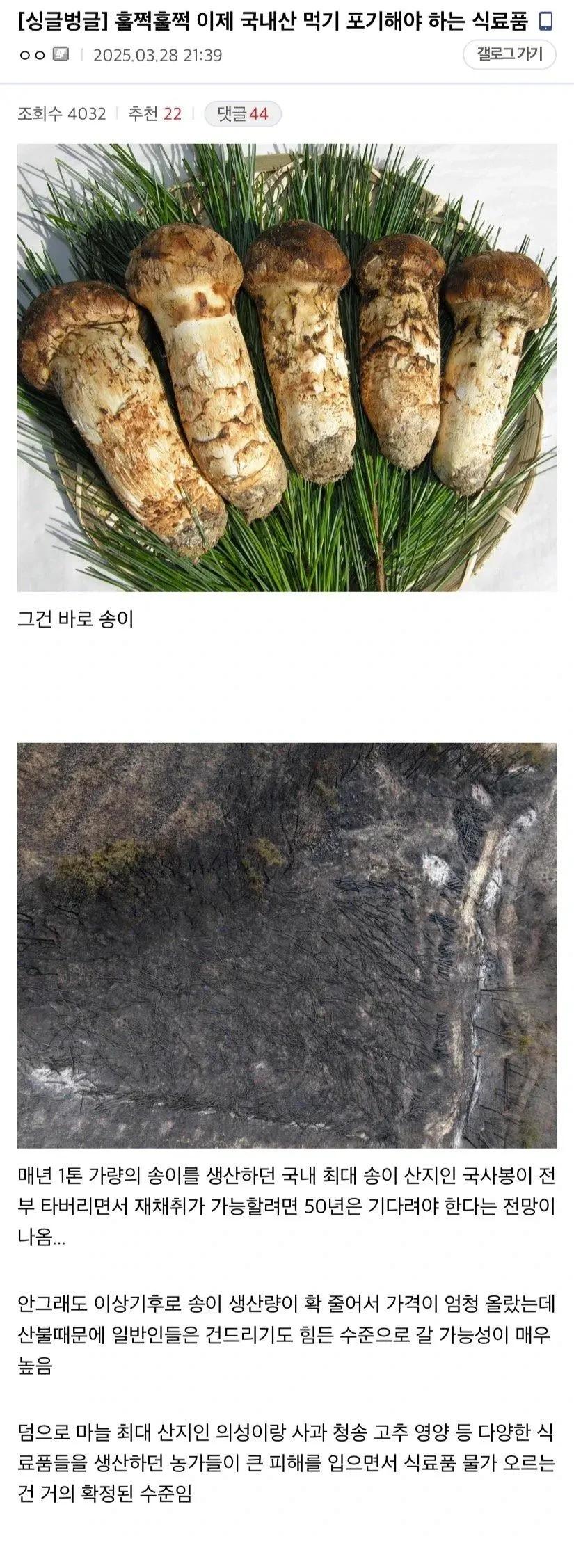 이번 산불로 국내산 구하기 진짜 힘들어질 식료품1.webp.jpg