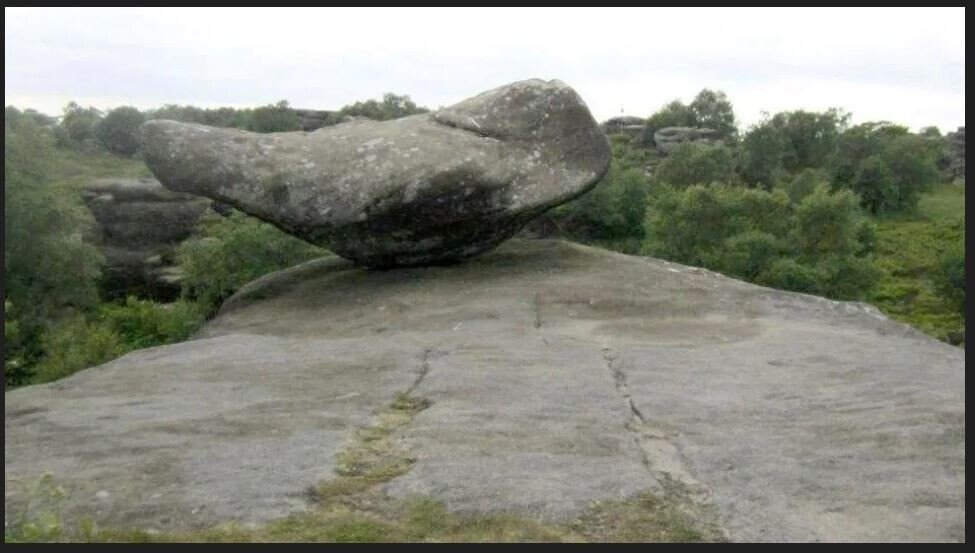 1000005973.jpg