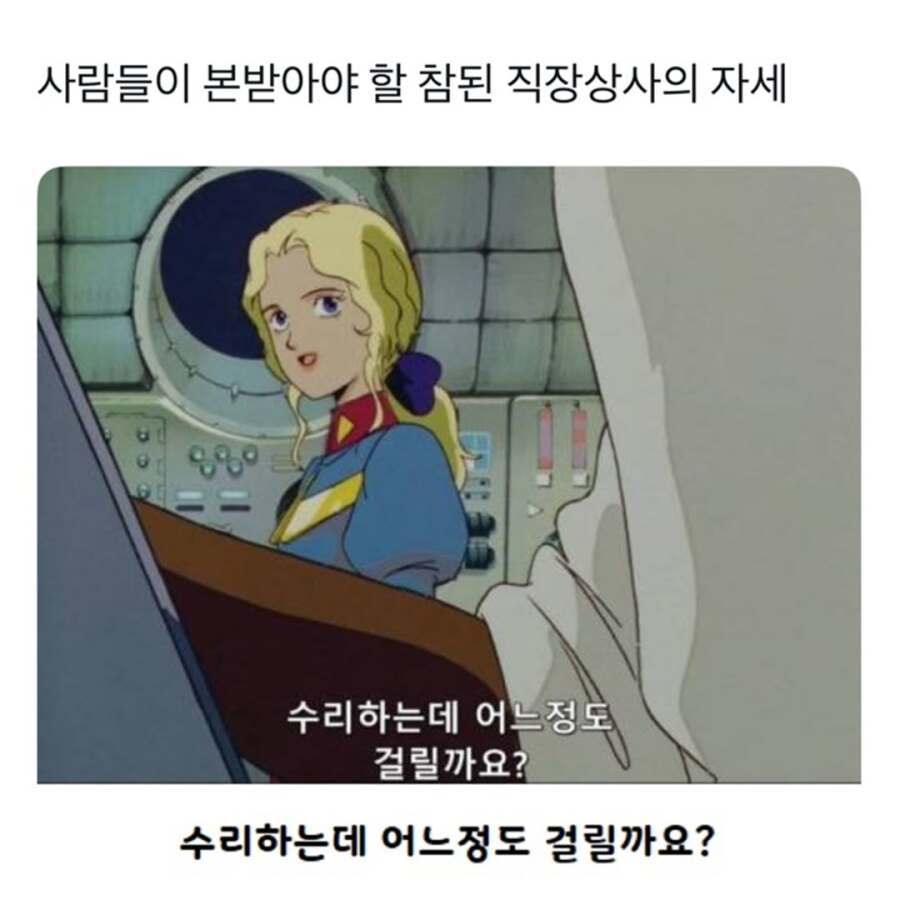 1000003780.jpg