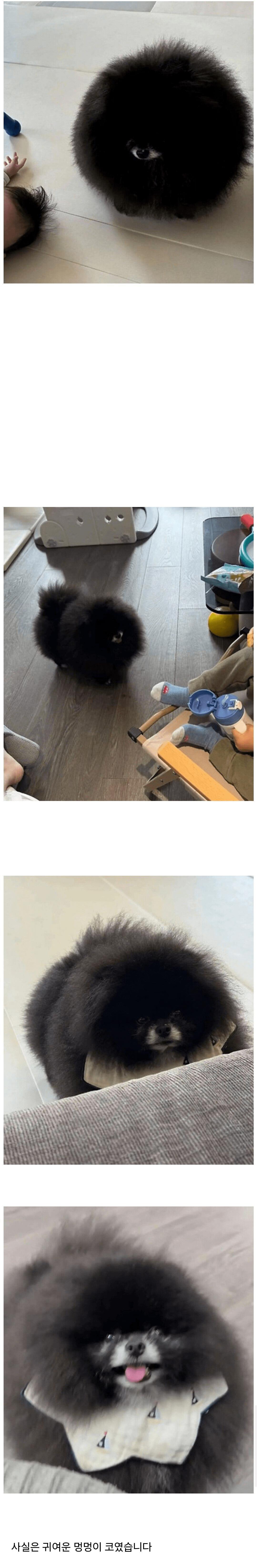 image.png.jpg