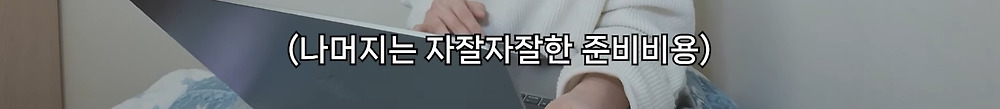 22개국 여행한 유튜버의 총 경비2.jpg
