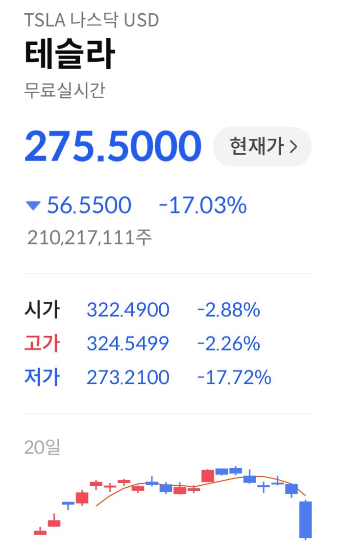 IMG_6229.jpeg 트럼프와 미성년자 성착취범의 파티 영상을 공유한 머스크