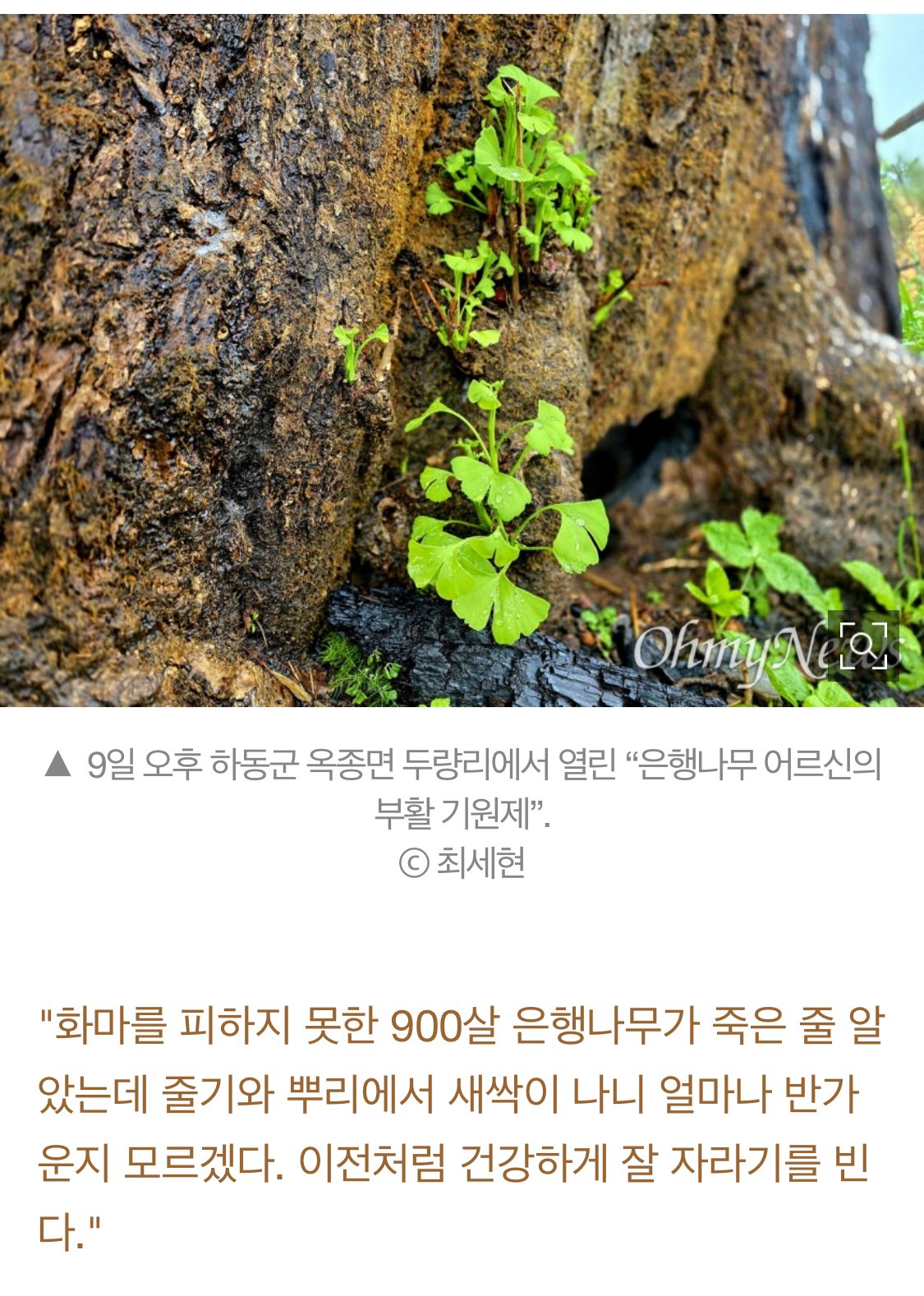 2ccd3de2f4e657ddb9ab632fa2bc43c3.jpg
