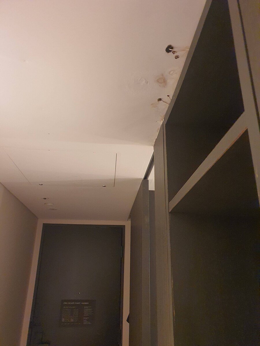 P_004.jpg