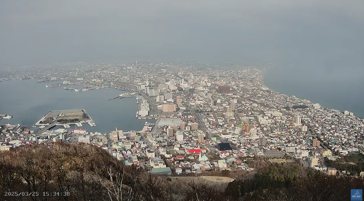 스크린샷 2025-03-25 153425.png 생각보다 미세먼지 심각한 일본 상황