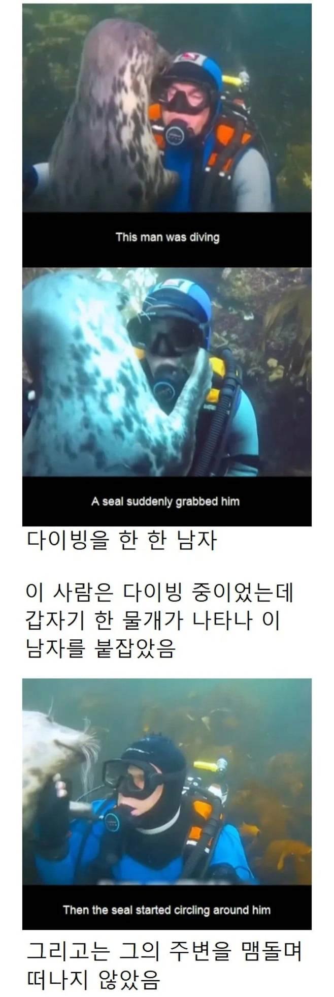 24post.co.kr_003.png.jpg