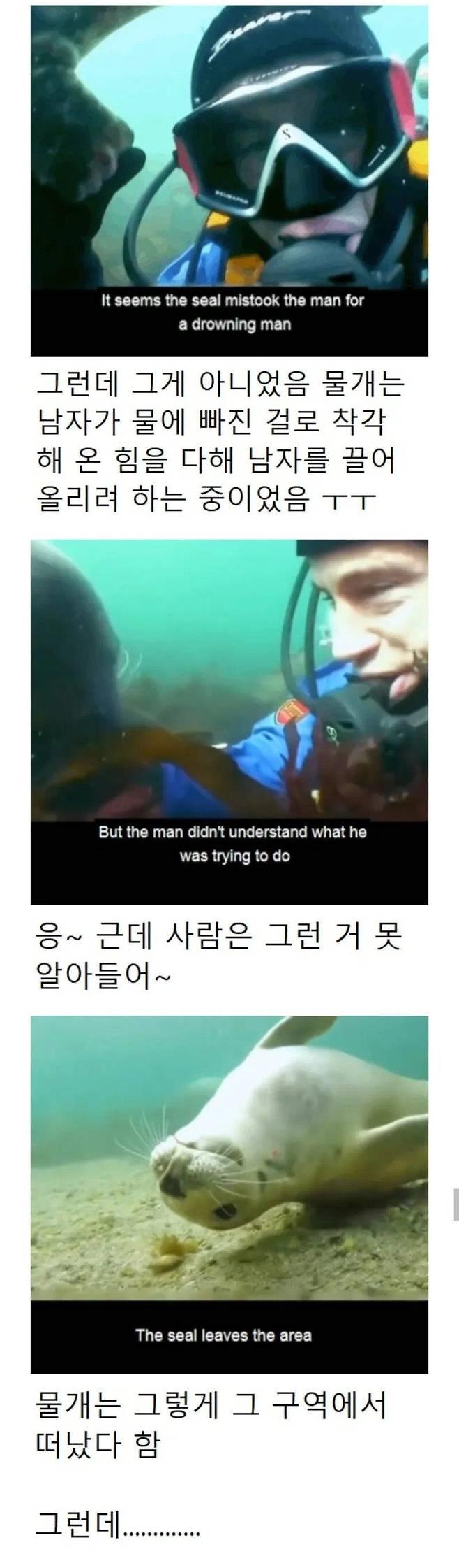 24post.co.kr_005.png.jpg