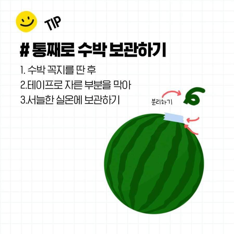 두드리지 않고 꿀수박 고르는 법과 보관 방법6.jpg