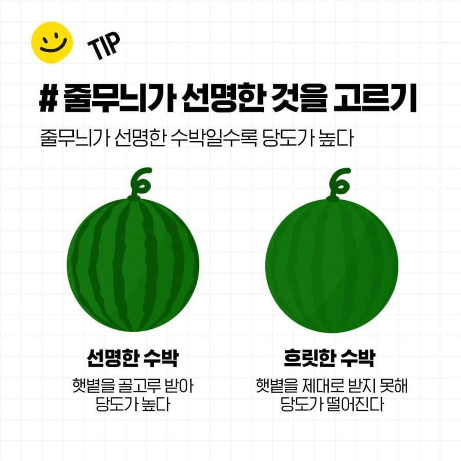 두드리지 않고 꿀수박 고르는 법과 보관 방법5.jpg
