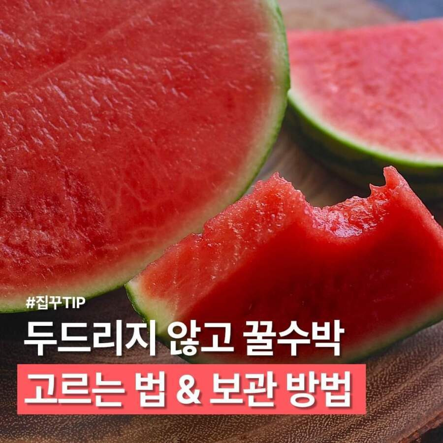 두드리지 않고 꿀수박 고르는 법과 보관 방법1.jpg