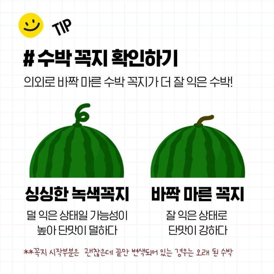 두드리지 않고 꿀수박 고르는 법과 보관 방법4.jpg