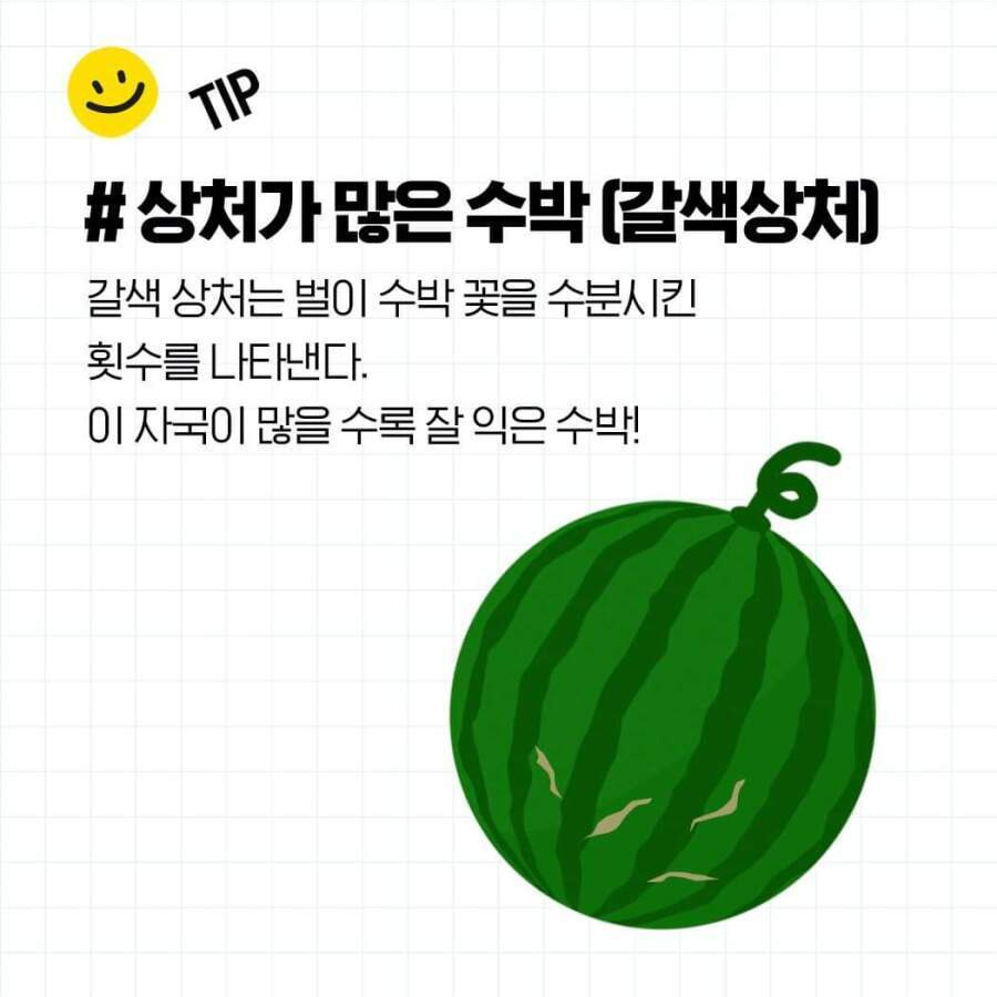 두드리지 않고 꿀수박 고르는 법과 보관 방법3.jpg