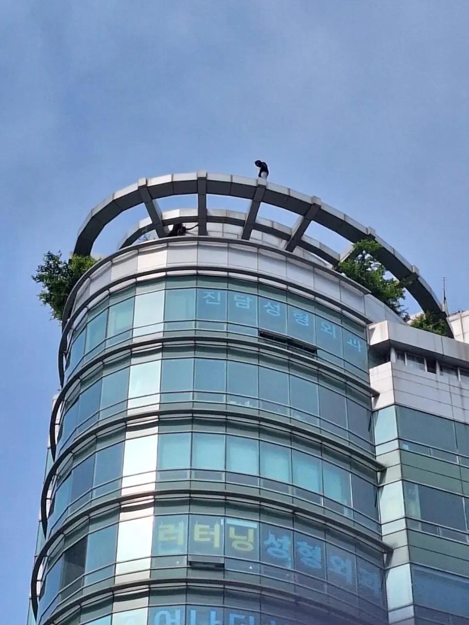 오늘 강남역 투신 소동4.webp.jpg
