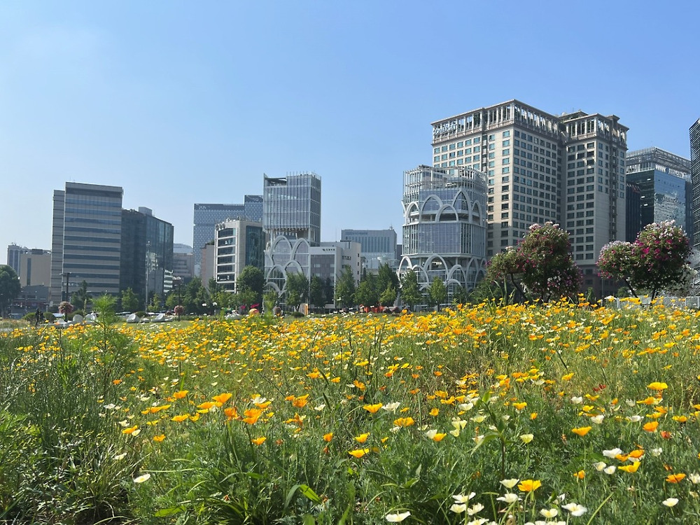 한국에서 골목, 거리가 가장 예쁜 지역17.jpg
