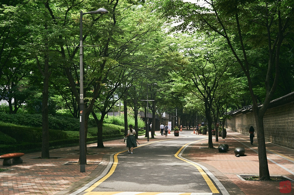 한국에서 골목, 거리가 가장 예쁜 지역22.jpg