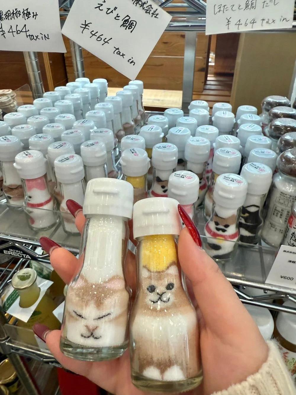동물 소금통2.webp.jpg