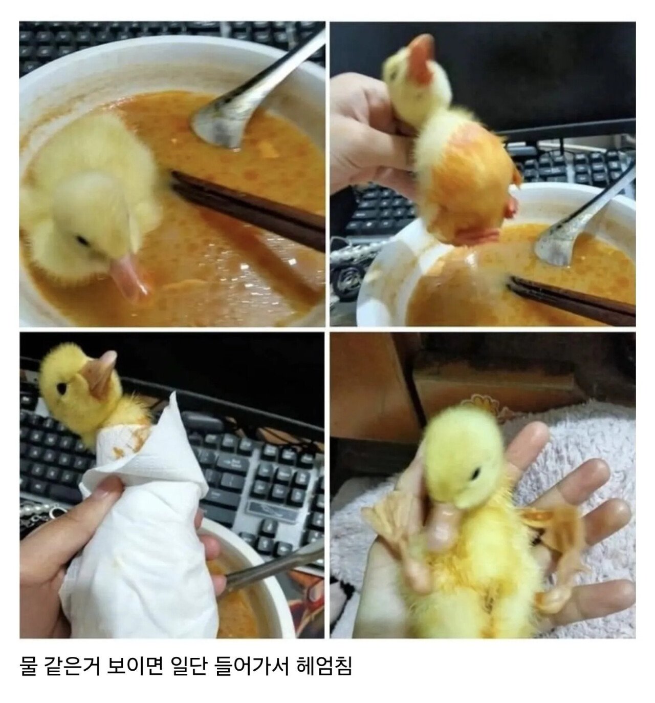 Internet_20250501_075020.webp.ren.jpg